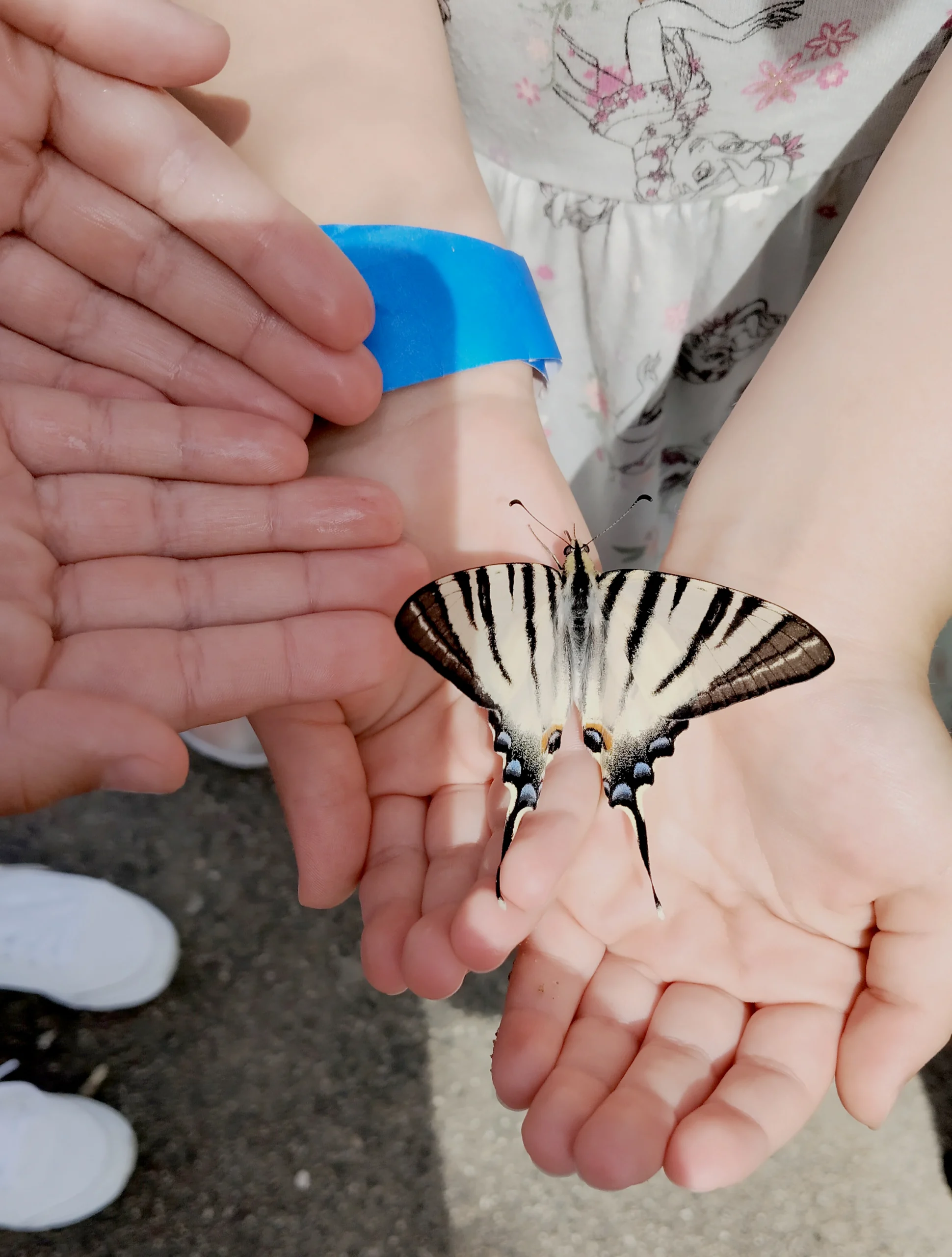 img 20250714 142642